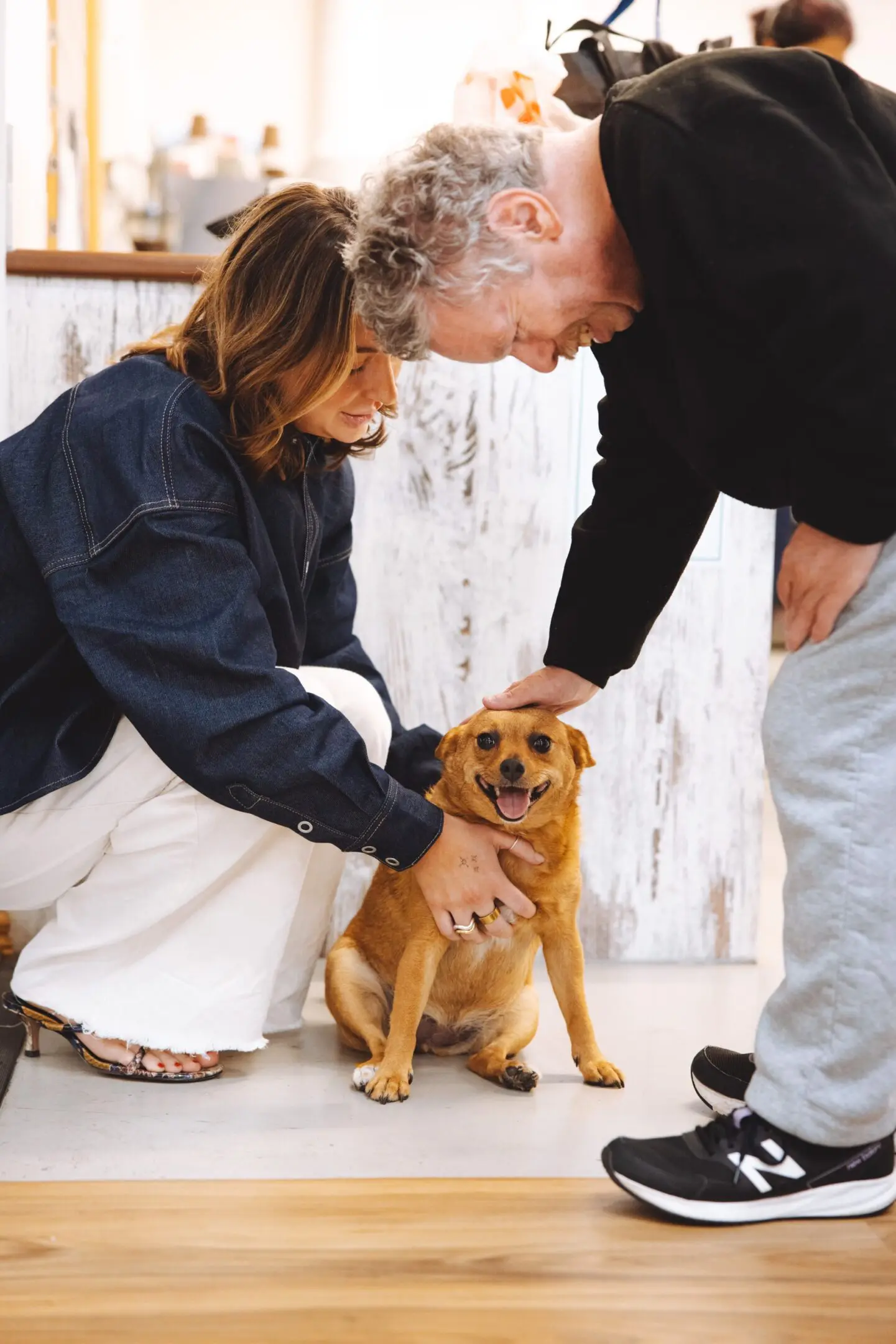 A woman and man petting a dog on the ground.